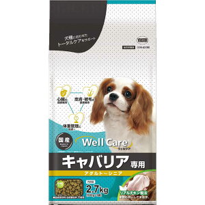 C[X^[@EFPA LoAp A_g`VjA 2.7kg