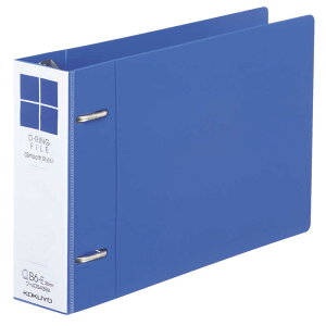 RN@DOt@CX[X B6R tUDS438B u[@tUDS438B