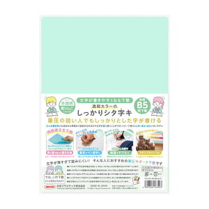 hvX`bN@J[̂V^L B5 񂲁@TCS-B5-AO