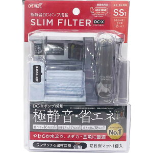 WFbNX@XtB^[ DC-X SS1