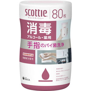 {NVA@XRbeB EFbgeBV[  AR[ 80