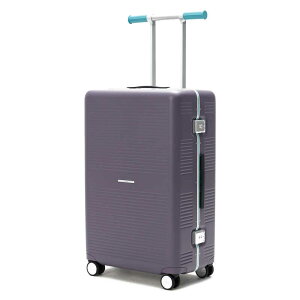 RAWROW�@���E���[ �X�[�c�P�[�X R TRUNK FRAME �t���[���^�C�v �h���ڈ��F1�T�Ԉȏ� [TSA���b�N���� / 88L] �f�B�[�v�p�[�v���@R-TRUNK-FRAME-88L-DPL