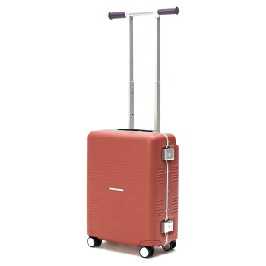 RAWROW�@���E���[ �X�[�c�P�[�X R TRUNK FRAME �t���[���^�C�v �h���ڈ��F3���`4�� [TSA���b�N���� / 37L] �X�J�C�R�[�����@R-TRUNK-FRAME-37L-SCO