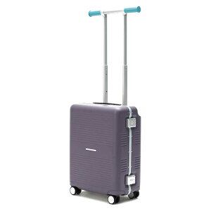 RAWROW�@���E���[ �X�[�c�P�[�X R TRUNK FRAME �t���[���^�C�v �h���ڈ��F3���`4�� [TSA���b�N���� / 37L] �f�B�[�v�p�[�v���@R-TRUNK-FRAME-37L-DPL