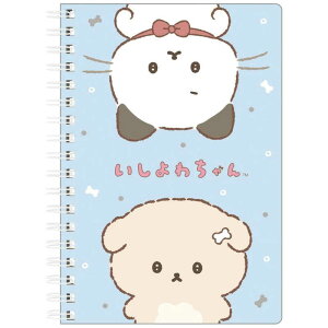 TGbNX@킿 NY42702 B6SPm[g@CCV`B6SPm[g