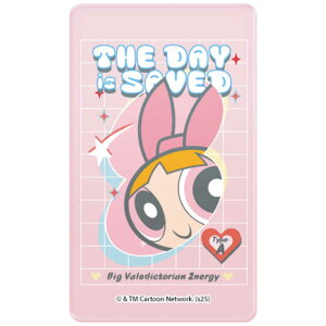 O}fB[Y@X}₦ Premium p[pt K[Y ubT@GPPG-31A