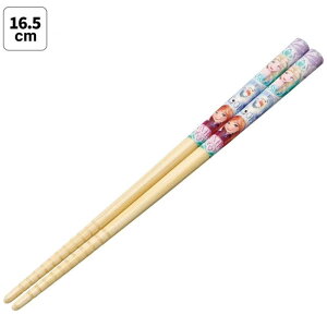 XP[^[@|S16.5cm AiƐ̏25@ANT2