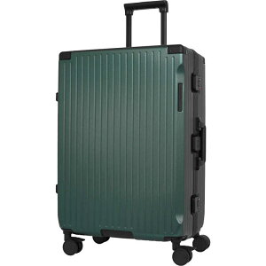 SKYNAVIGATOR@X[cP[X t[^Cv sڈF1T 74L aꖳ m TSAbN n O[@SK-0895-63-GR