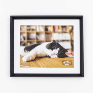 iJoV@ؐʐ^z ubN@FSW119D