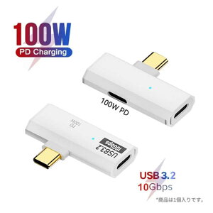 YOUZIPPER@USB Type-C 2in1 A_v^[/10Gbps Type-C/PD100W[dΉ mType-CIX / USB Power DeliveryΉn@GEN2-PDC