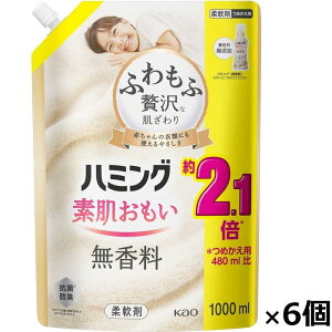 ԉ@(P[X) n~O  ߂p 1000ml×6