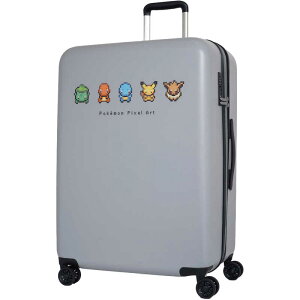 |P@X[cP[X t@Xi[^Cv sڈF1TԈȏ 96L g107L aꖳ mTSAbNځn O[@PK-0881-67-GY