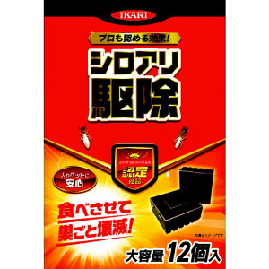 CJŁ@VA쏜n^[ Ɩp 12