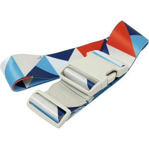 TRAVELEARTH@X[cP[Xxg obN^Cv STCY`LLTCYΉ 􉽊w WIgbN@TE-311-GM