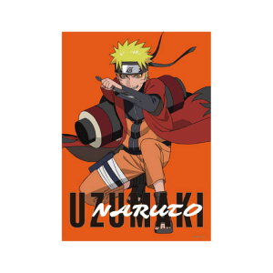 X[vlbg@|X^[XebJ[ NARUTO ܂ig@PE1115