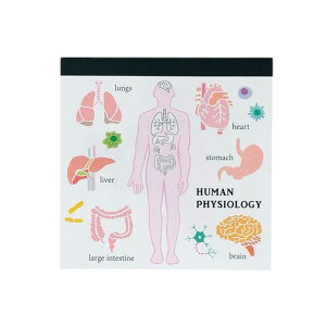 GREENFLASH@STUDYHOLIC pbhEXNGA lސw GreenFlash@ST-164