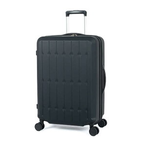 AWAQ[W X[cP[X ALI-6030SD-24W }bgubN 66L