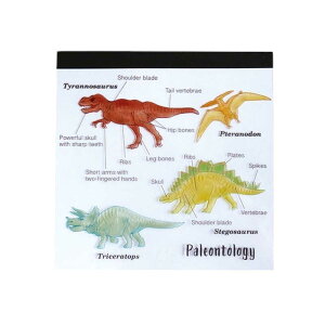 GREENFLASH@STUDYHOLIC pbhEXNGA Ðw GreenFlash@ST-002