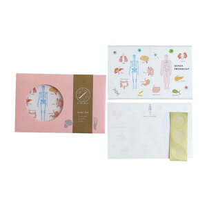 GREENFLASH@STUDYHOLIC ^[Zbg lސw GreenFlash@ST-262