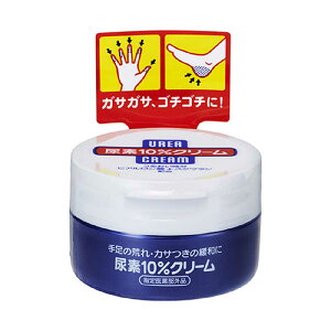 t@CgDfC@Af10N[(W[)f 100gmw򕔊Oin