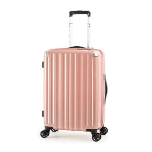 A.L.I@X[cP[X Wbp[^Cv hڈF4`6 47L |J[{lCg100 TSAbN _uzC[LX^[ AbVR[@ALI-6008-22