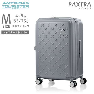 AJc[X^[@LX^[Xgbp[tL[ g@\t a MTCY PAXTRA ( pNXg ) Xsi[66 EXP mTSAbNځn O[@UH108002