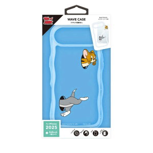 PGA�@iPhone Air �E�F�[�u�P�[�X�@PG-W25CWH01TAJ