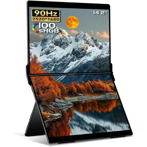 EHOMEWEI@USB-Cڑ 2ʃoCj^[ XV[Y m14.0^ / WQXGA(2560×1600) / Ch / 76Hzn@XP-142NW