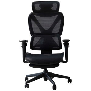 COFO�@ChairPro2�@CC-200B
