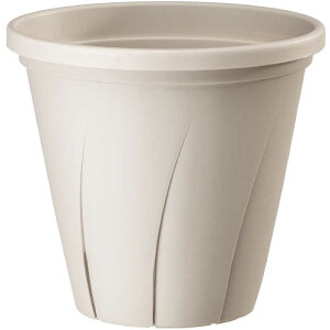 avX`bN@͂蔫 7 zCg@2101812