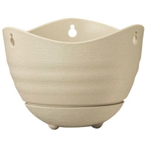 avX`bN@tO[݂蔫 6 AC{[@2101787