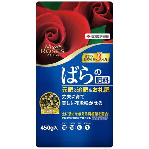 ZFw|@}C[Y ΂̔엿 450g@}C[YomqE
