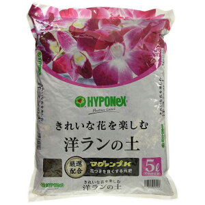 nC|lbNX@m̓y 5L@Emc`