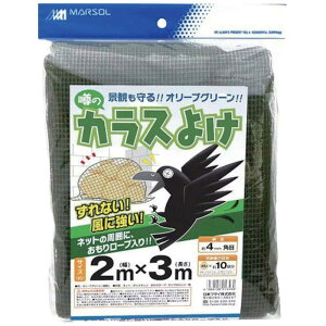 オリーブ 3m」の人気商品一覧 | 安い商品を通販サイトから探す - 価格.com