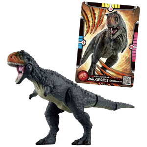 ^Jg~[@AjA WVbNE[h Jm^EX(AjAogJ[ht)