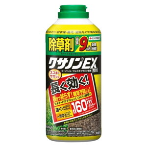 ZFw|@NTmEX 800g@2055134