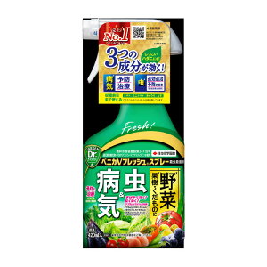 KINCHO���|�@�x�j�JV �t���b�V���X�v���[ 420ml�@604563