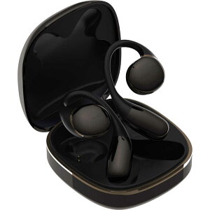 AVIOT@tCXCz [ CX ( E ) / Bluetooth Ή ] Black@TE-H1-BK