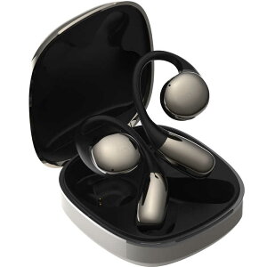 AVIOT@tCXCz [ CX ( E ) / Bluetooth Ή ] Silver@TE-H1-SL