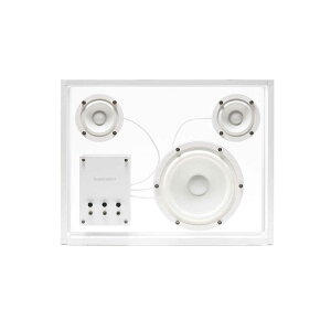 TRANSPARENTSPEAKER@Transparent Speaker Wi-Fi Version WiiM Mini Wi-FiXs[J[ mBluetoothΉ / Wi-FiΉn zCg@TPS-05-Wifi