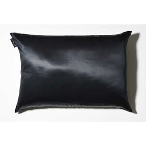 z@qcŴȂ Jo[ VN ubN (43×63cmp /t@Xi[^Cv)@HTSILK001C