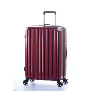 A.L.I@X[cP[X Wbp[^Cv hڈF4`6 66L |J[{lCg100 TSAbN _uzC[LX^[ Cbh@ALI-6008-24