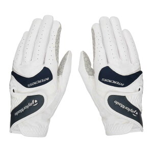 e[[ChSt@(fB[X p) StO[u C^[NX 3.0O[u yA (21cm/zCg×lCr[)@UN154