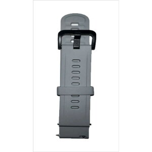 �A�}�Y�t�B�b�g�@Amazfit �V���R�� �ւ��o���h 20mm �O���[�@sp200028-S15-C09Q06