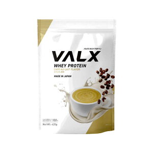 VALX�@�z�G�C�v���e�C�� (420g) �J�t�F�I������