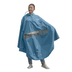 �I�I�N�{�@���]�ԉ�����̃|���`�� �o�C�U�[�t ���C�����u���[�@D-3POA-VI