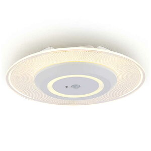 �A�C���X�I�[���}�@IRIS OHYAMA�@���^�����V�[�����O���C�g 950lm �d���F �l���Z���T�[�t�@SCL100L-MS-PK