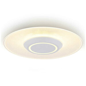 �A�C���X�I�[���}�@IRIS OHYAMA�@LED�Ɩ� �V�[�����O���C�g ���^ �d���F ������ 2000lm�@SCL200L-PK