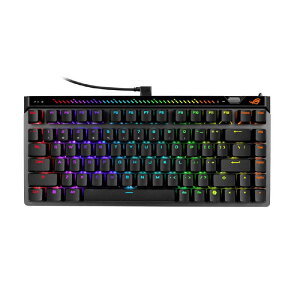 ASUS �G�C�X�[�X�@�Q�[�~���O�L�[�{�[�h ROG Falchion Ace 75 HE Black (75�����C�A�E�g ���CROG HFX V2X�X�C�b�` ���s�b�h�g���K�[ 8000Hz�|�[�����O) �m�L���n�@ROG/FALCHION/75HE/HFX2X/BK