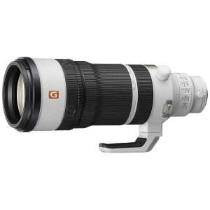 �y2026�N06��05�������\��z�\�j�[�@SONY�@�f�W�^�����J�������mE�}�E���g�n�p�����Y�@SEL100400MC